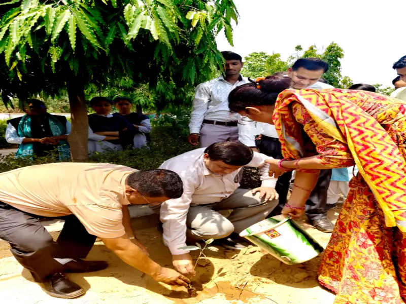 Tree planting by Principal at DIET Bijnor